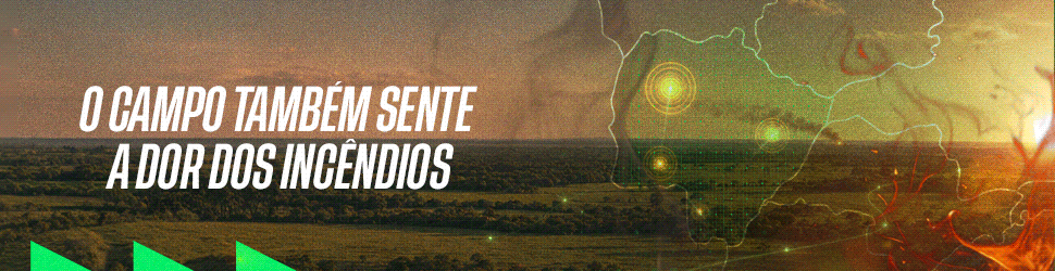 senar julho 