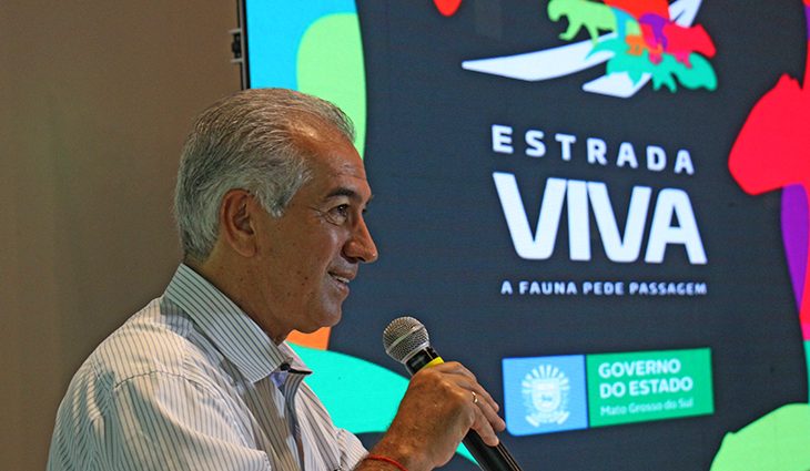Governo institui manual para reduzir atropelamento de animais silvestres nas rodovias