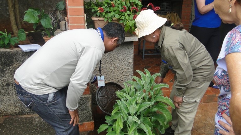 Com ações estratégicas, Capital zera o número de áreas em alto risco para infestação do Aedes