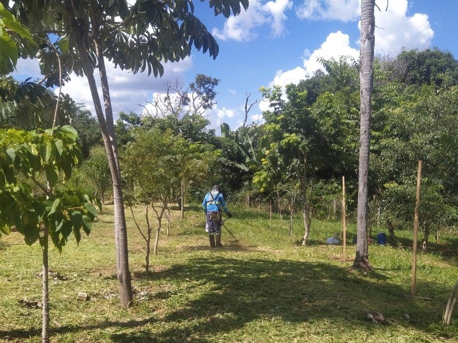 Campo Grande é referência em desenvolvimento sustentável; entenda