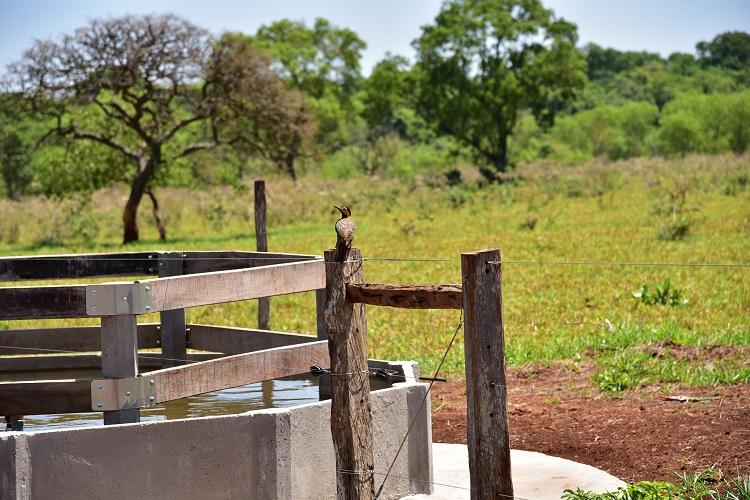 Propriedades Rurais de Mato Grosso do Sul são reconhecidas pela prestação de serviços ambientais