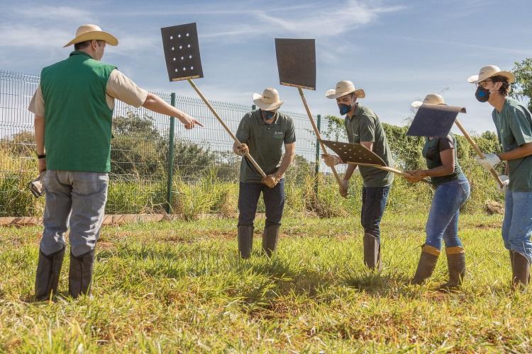 Senar/MS ensina estratégias de prevenção e combate aos incêndios no campo