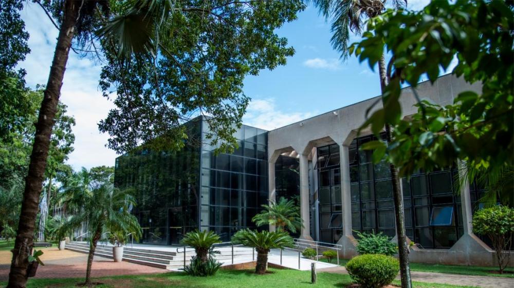 Pleno virtual teve mais 50 processos na pauta
