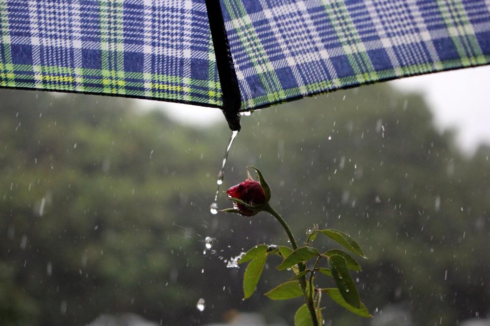 MS segue com chuva em todas regiões: São Gabriel e Mundo Novo tiveram maior acumulado nas últimas 72 horas