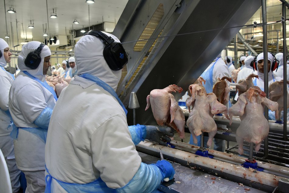Exportação de industrializados alcança em outubro melhor resultado para o mês em toda a série histórica