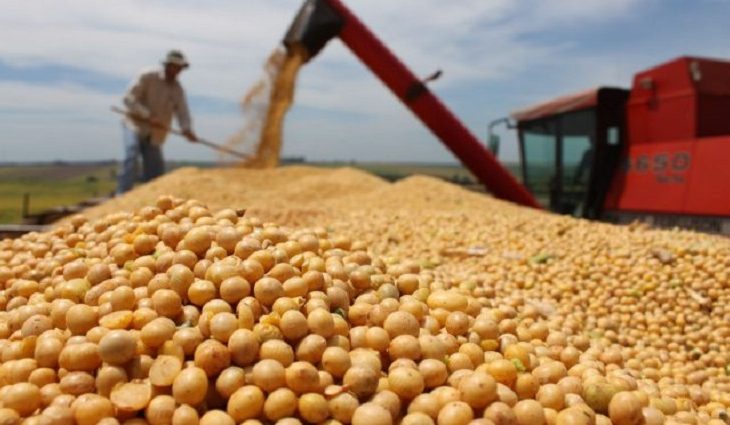 Exportações de MS crescem de janeiro a abril e saldo da balança comercial é de US$ 1,213 bilhão