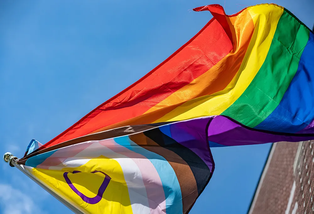 Comissão aprova isenção de tarifa de energia para abrigos de pessoas LGBTQIA+ e minorias