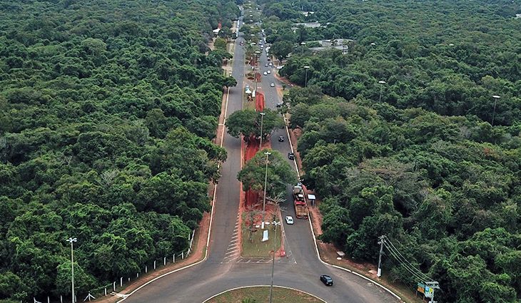 Com obra em andamento, revitalização do Parque dos Poderes terá foco na preservação da vegetação nativa