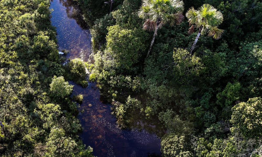 Turismo registra crescimento em 2020, mas ainda abaixo de 2019