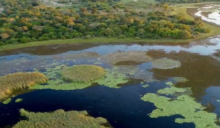 Semagro, Imasul e Instituto Homem Pantaneiro garantem ações para proteger o Pantanal