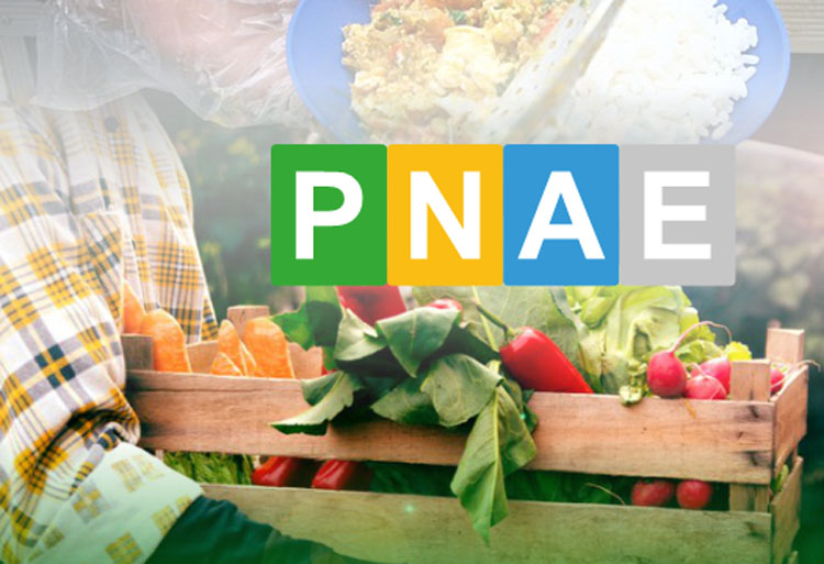 Programa de alimentação escolar brasileiro inspira modelos em todo o mundo