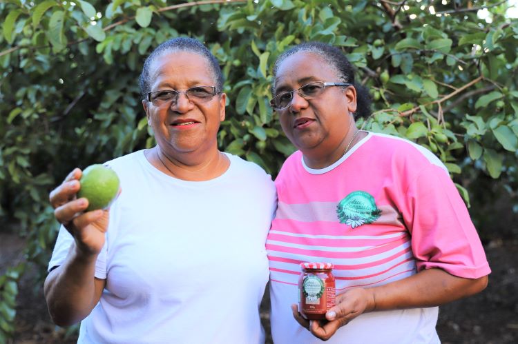 A “Doce Conquista” de irmãs atendidas pelo Senar/MS que salvaram a produção de goiabas 